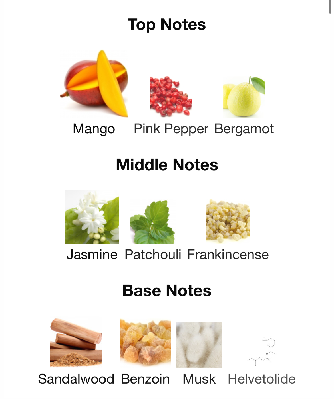 Rabanne Fame Parfüm - FragranceFrame