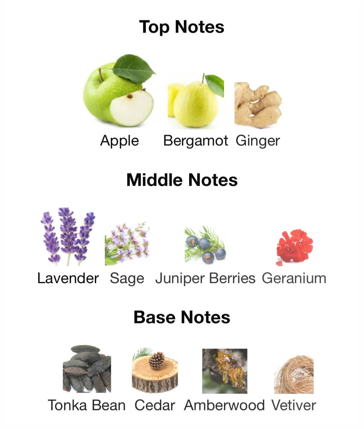 Lattafa Fakhar Black - FragranceFrame