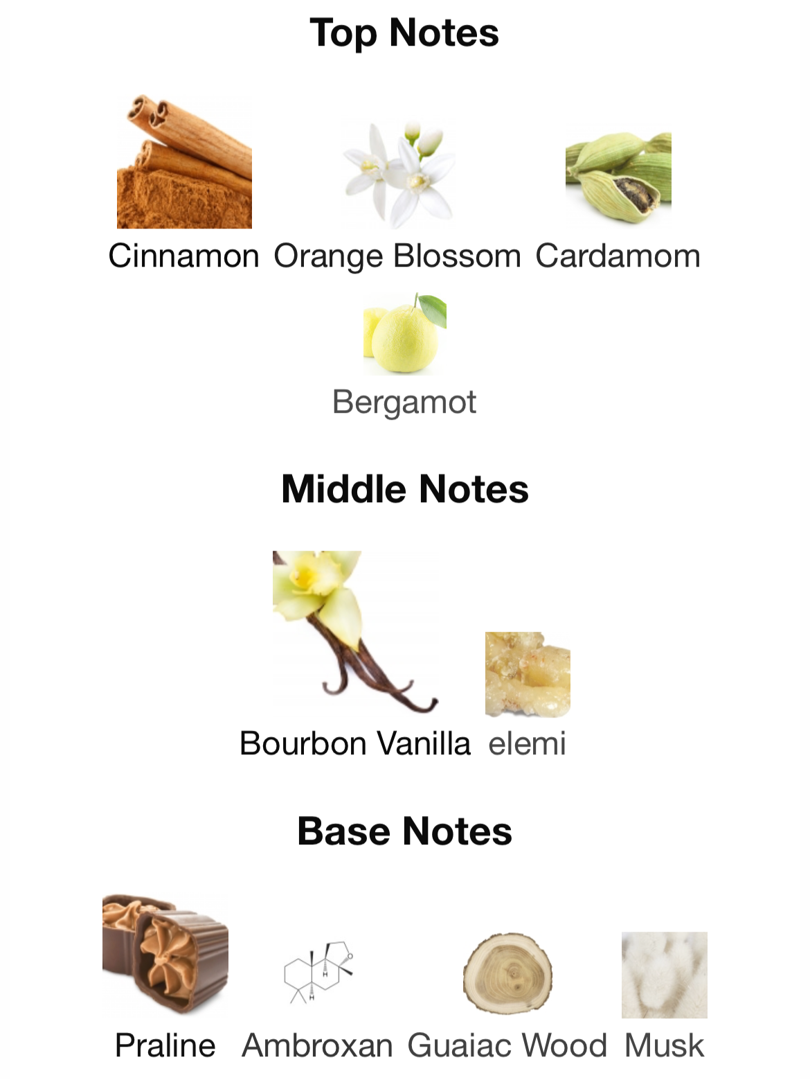 French Avenue Liquid Brun