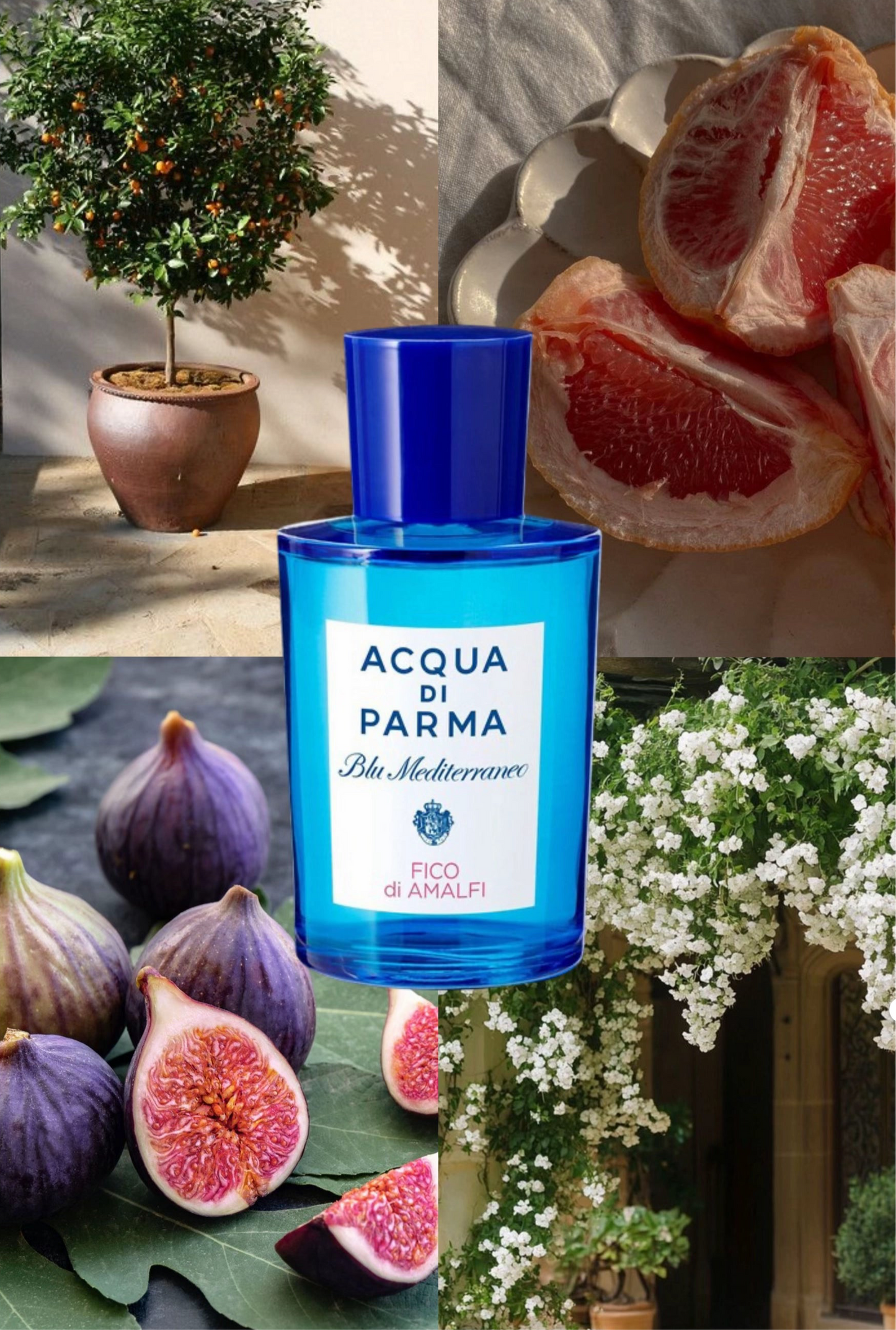 Acqua di Parma Blu Mediterraneo Fico di Amalfi Acqua di Parma