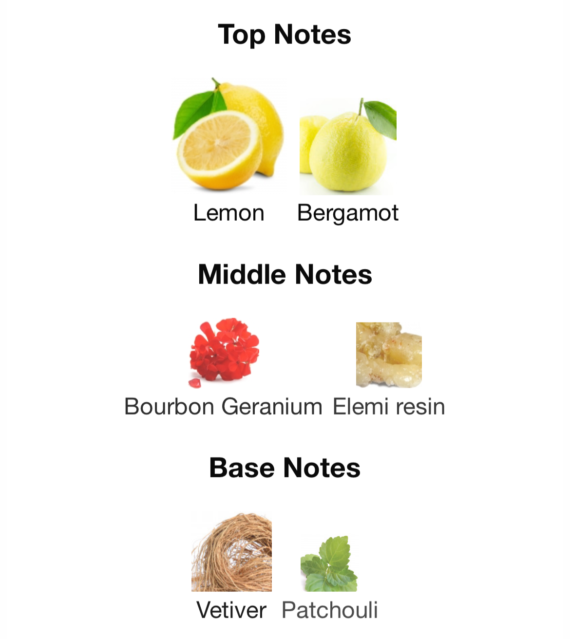 Boss Bottled Bold Citrus - FragranceFrame