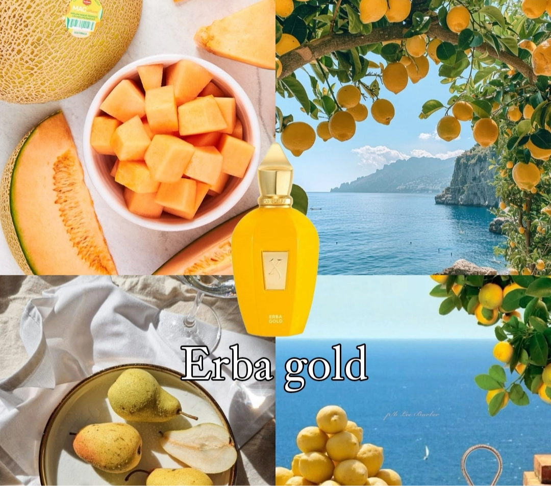 Xerjoff Erba Gold