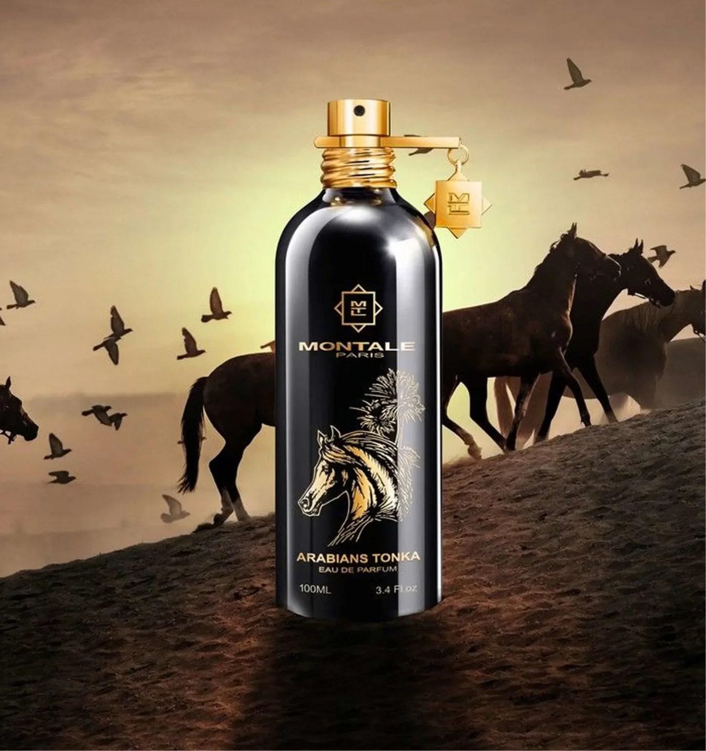 Montale Arabians Tonka