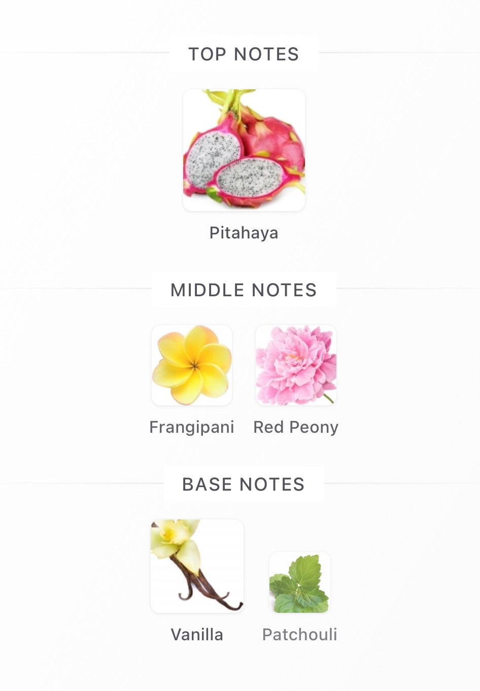 La Bomba Eau de Parfum Minta 2ml / 5ml / 10ml)