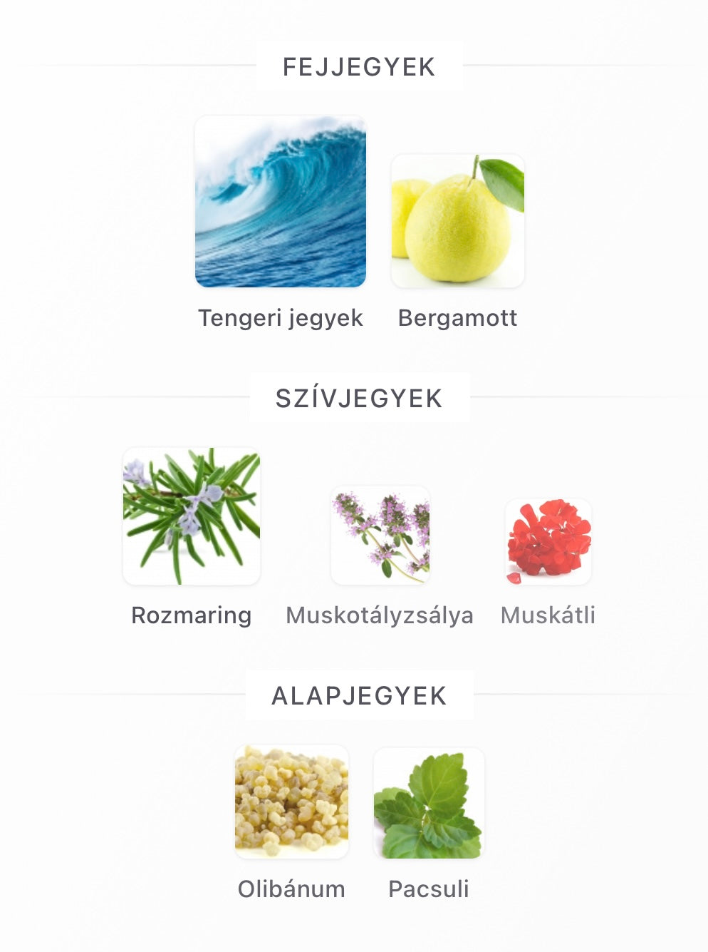 Acqua di Gió Parfum - Minta 2ml / 5ml / 10ml)