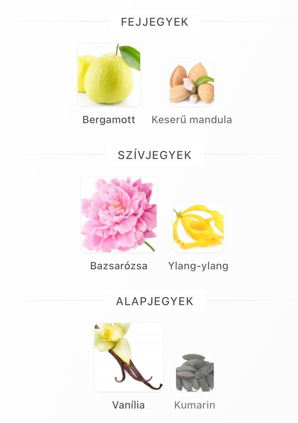 Blush Eau de Parfum Minta 2ml / 5ml / 10ml)