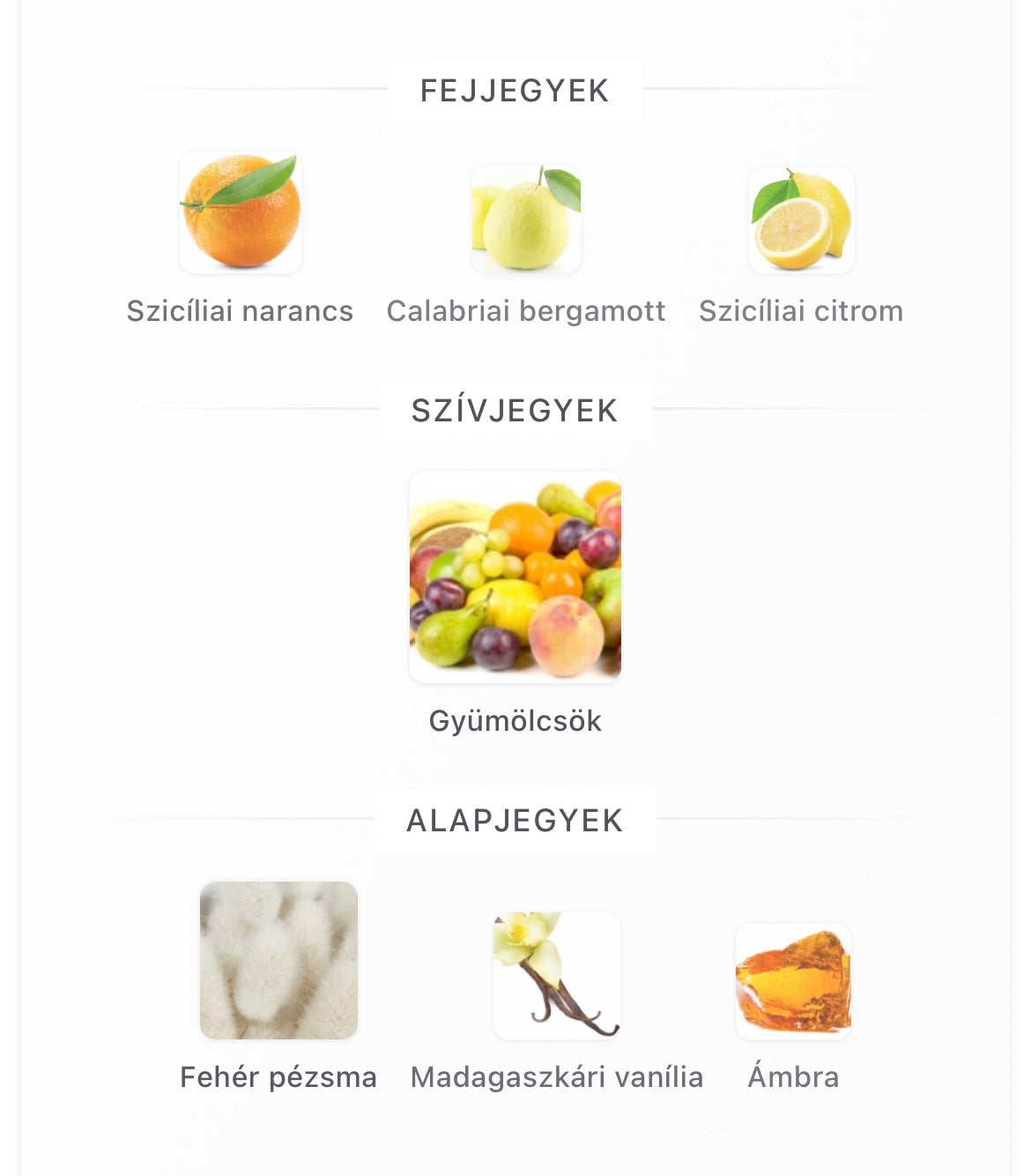 Erba Pura Eau de Parfum - Minta 2ml / 5ml / 10ml)
