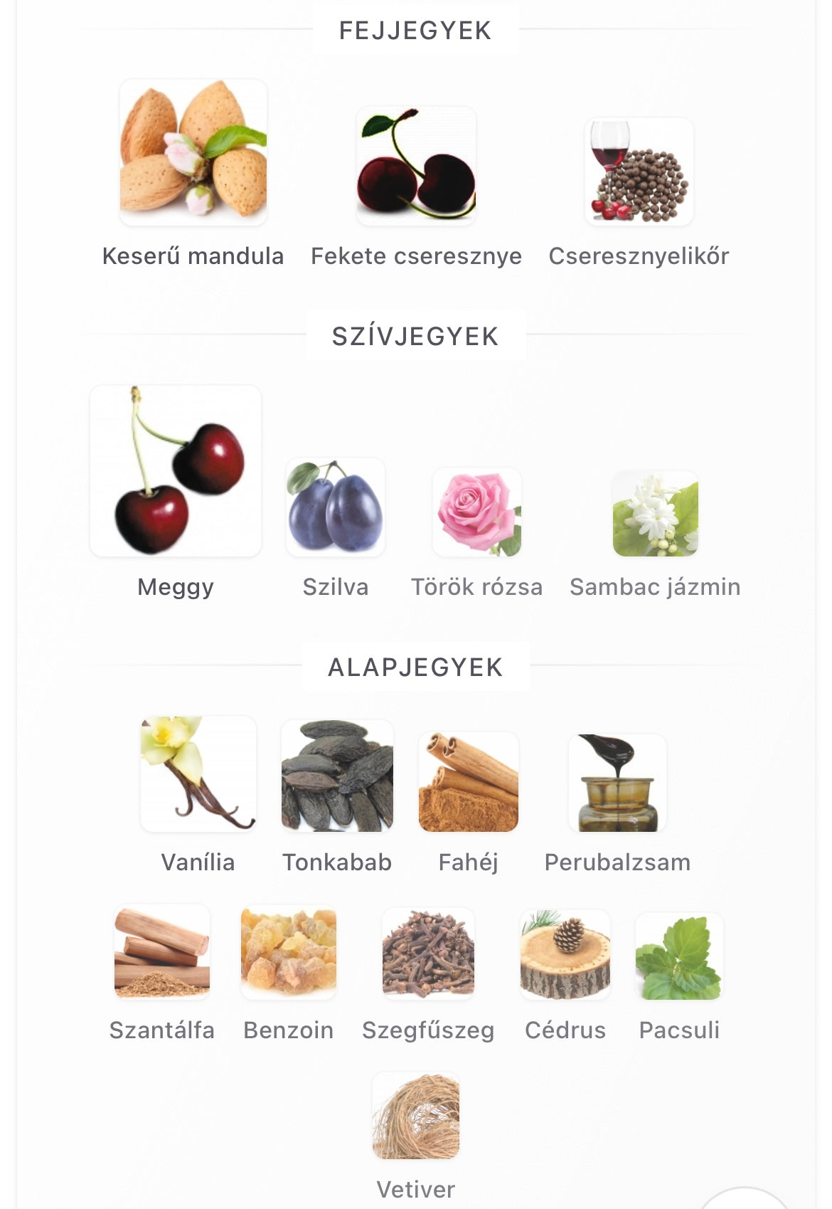 Lost Cherry Eau de Parfum - Minta (1ml / 2ml / 5ml / 10ml)