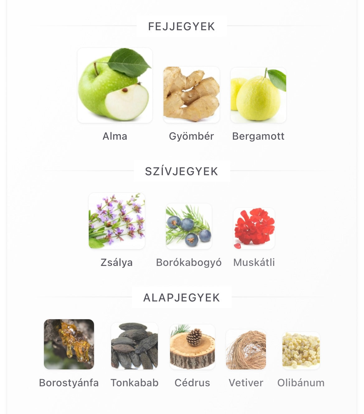 Y Eau de Parfum - Minta 2ml / 5ml / 10ml)