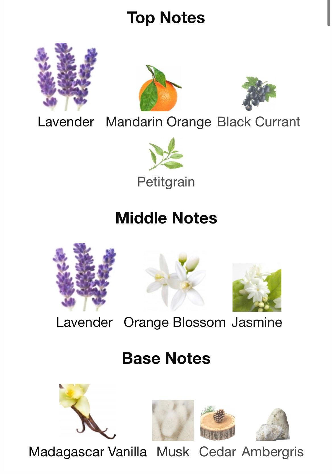 Yves Saint Laurent Libre - FragranceFrame