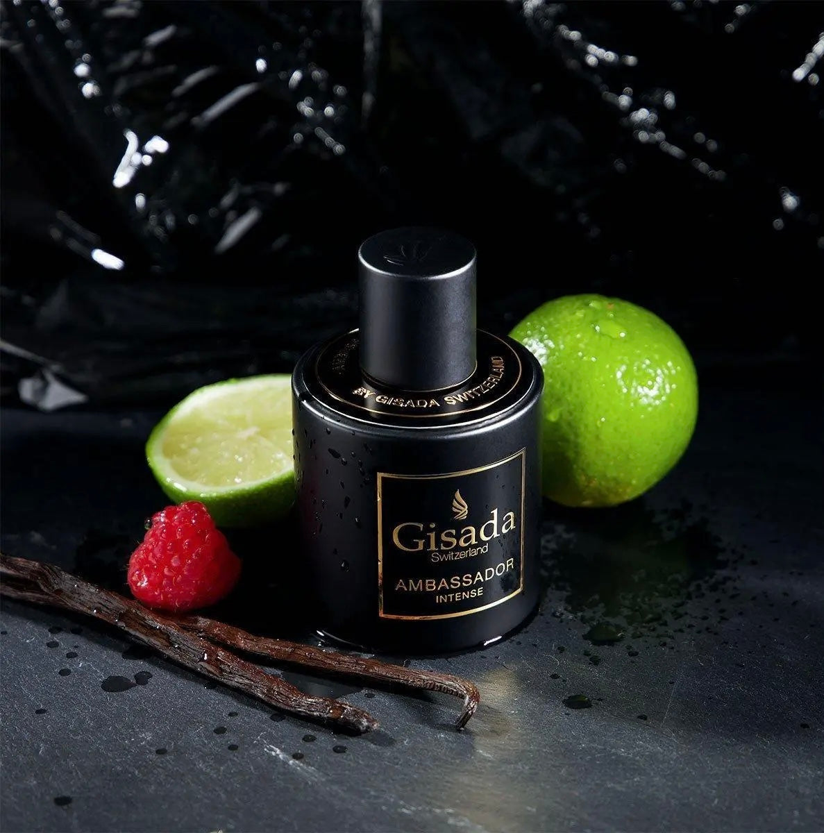 Gisada Ambassador Intense