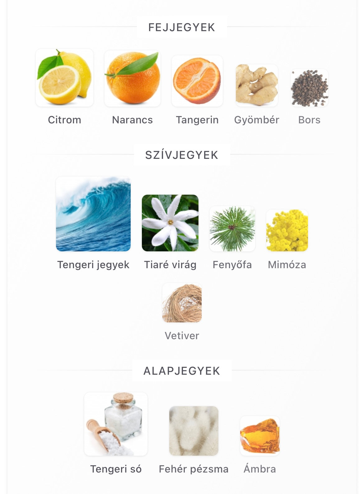 French Riviera Eau de Parfum - Minta 2ml / 5ml / 10ml)