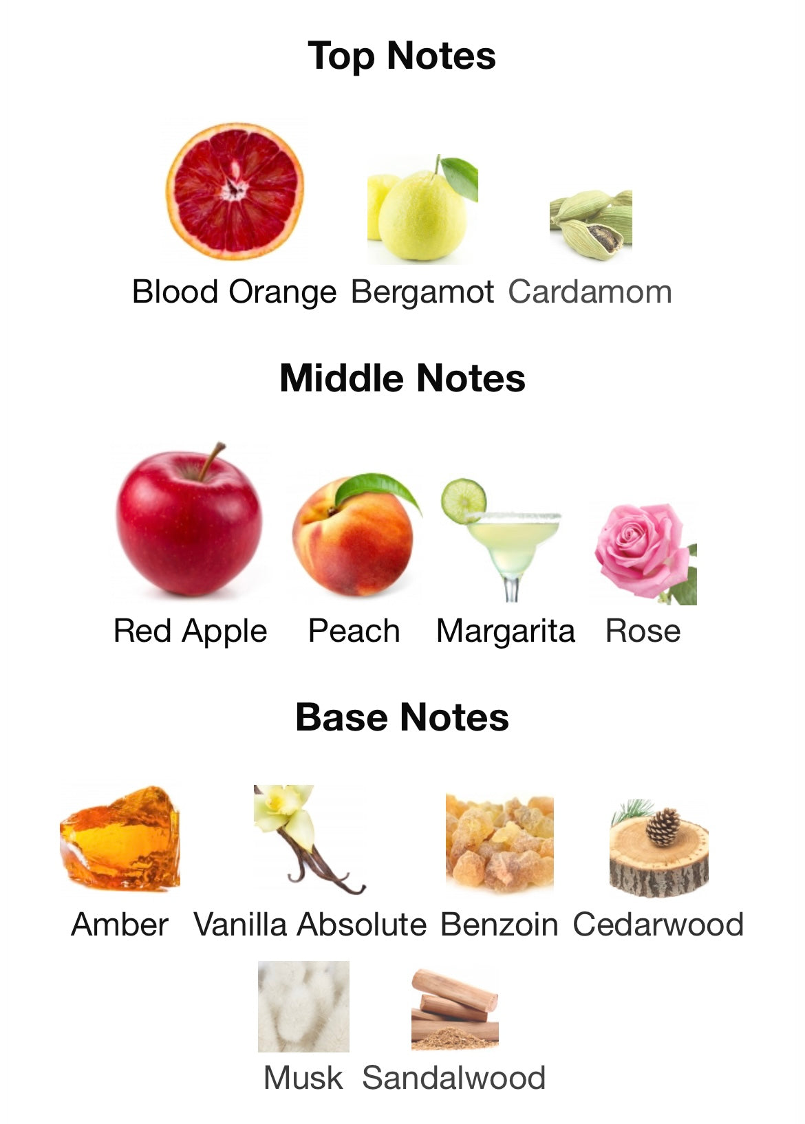 French Avenue Aromatix Forbidden Fruit - FragranceFrame