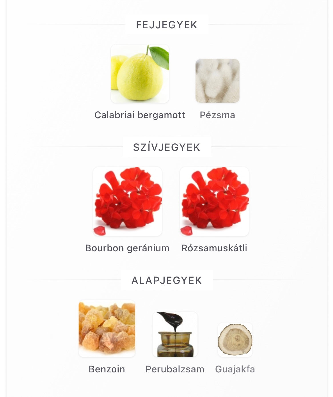 Paradigme Eau de Parfum - Minta 2ml / 5ml / 10ml)
