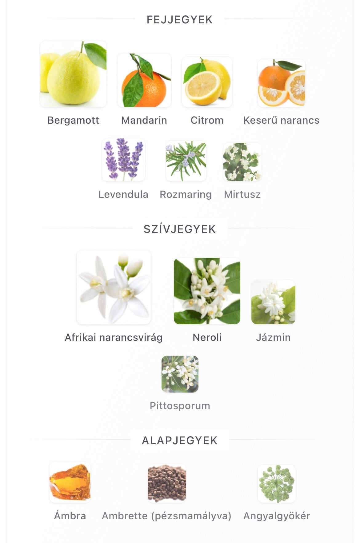 Neroli Portofino Eau De Parfum - Minta (1ml / 2ml / 5ml / 10ml)