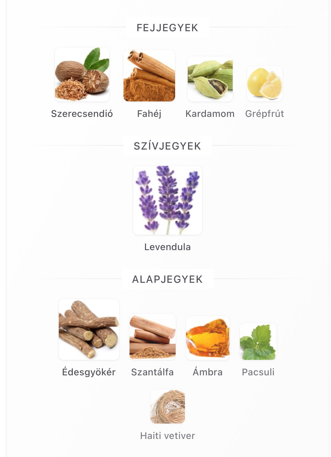 Sauvage Elixir Extrait de Parfum -  Minta (1ml / 2ml / 5ml / 10ml)