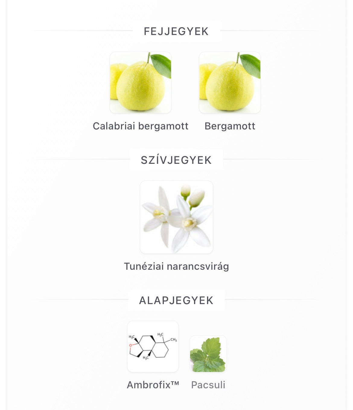 MYSLF Eau de Parfum - Minta 2ml / 5ml / 10ml)