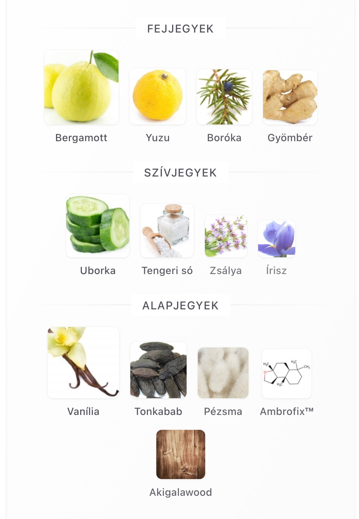 Lattafa Khamrah Waha Eau de Parfum - Minta 2ml / 5ml / 10ml)