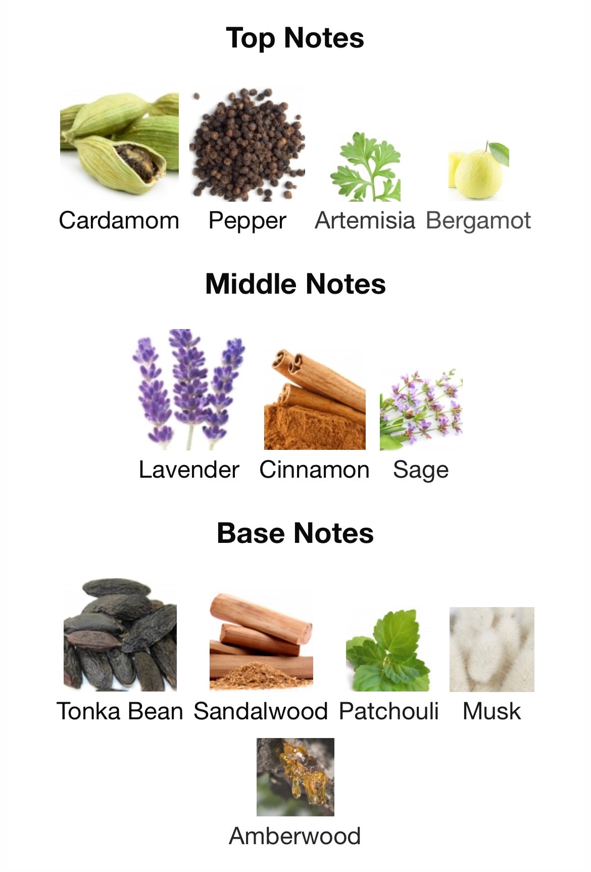 Lattafa Habik - FragranceFrame