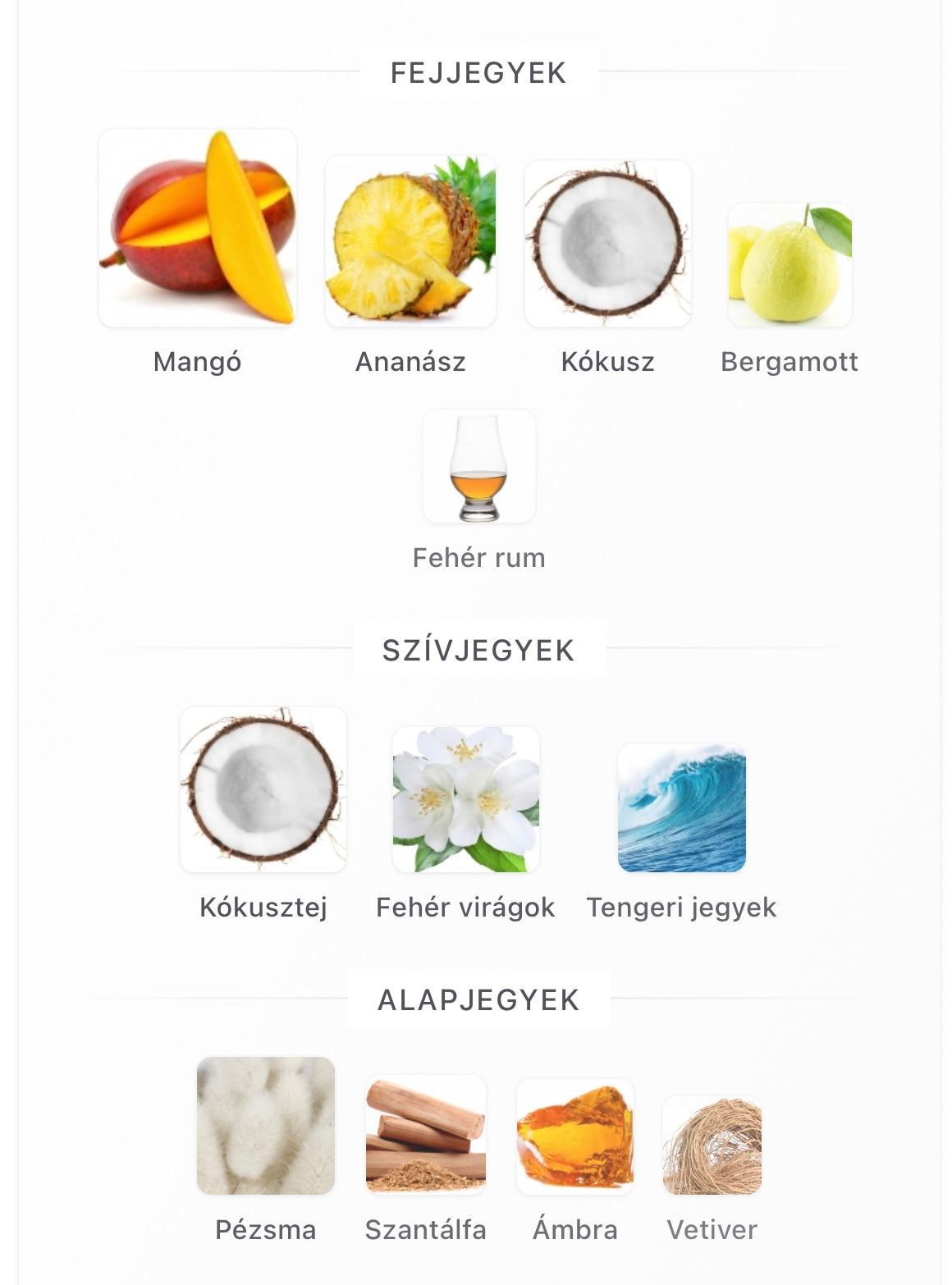 Summer Hammer Extrait de Parfum Minta (1ml / 2ml / 5ml )