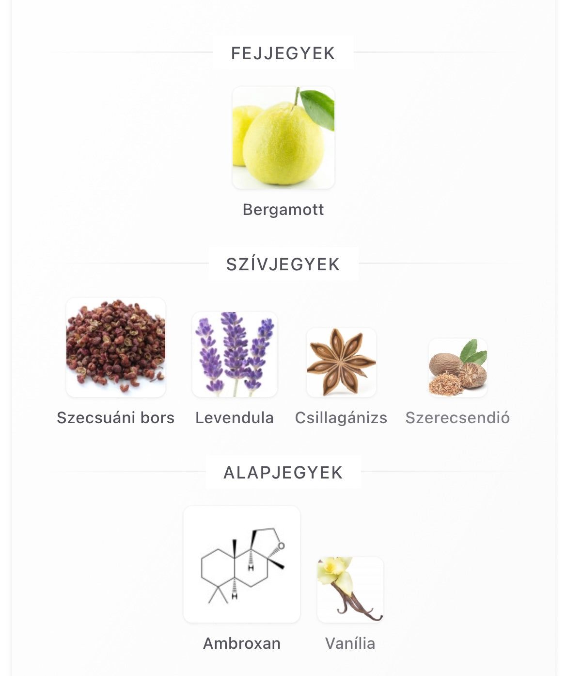 Sauvage Eau De Parfum - Minta 2ml / 5ml / 10ml)