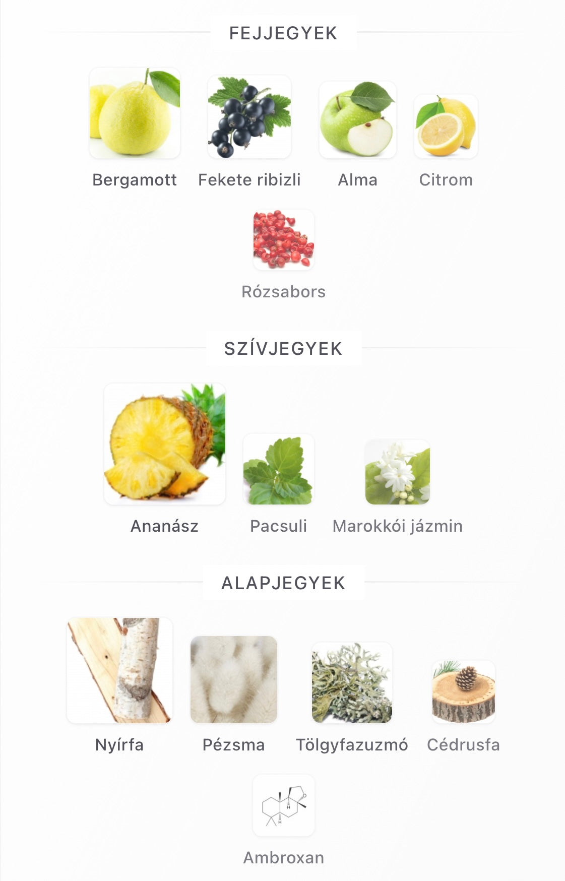 Aventus Eau de Parfum - Minta (1ml / 2ml / 5ml / 10ml)
