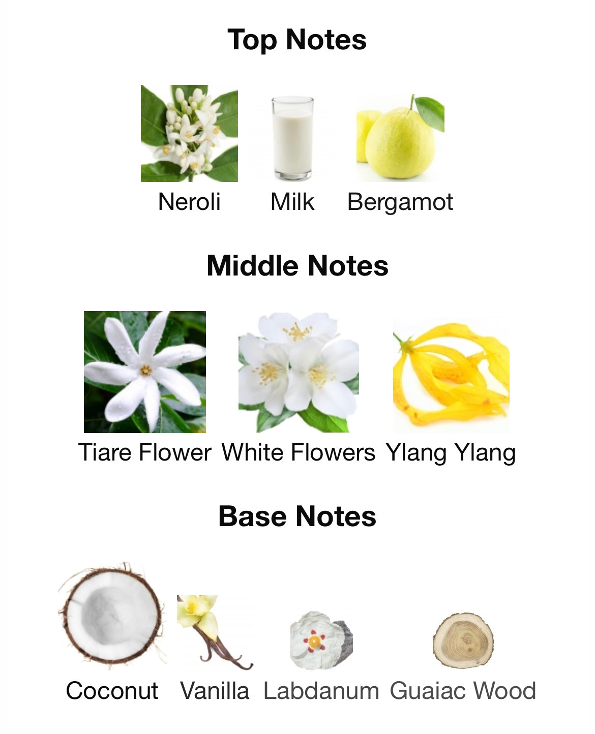 French Avenue Veneno Bianco