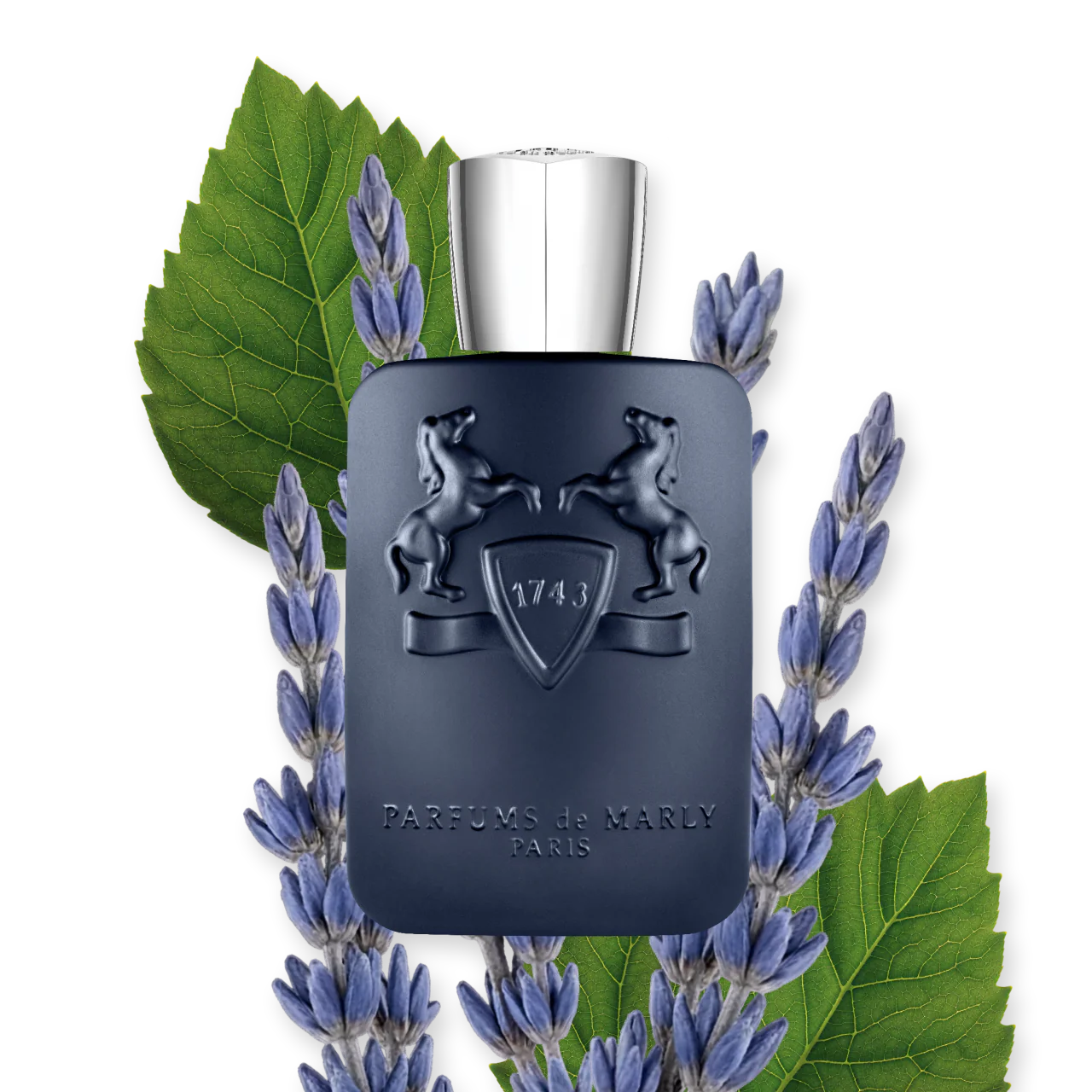 Layton Eau de Parfum - Minta (1ml / 2ml / 5ml / 10ml)