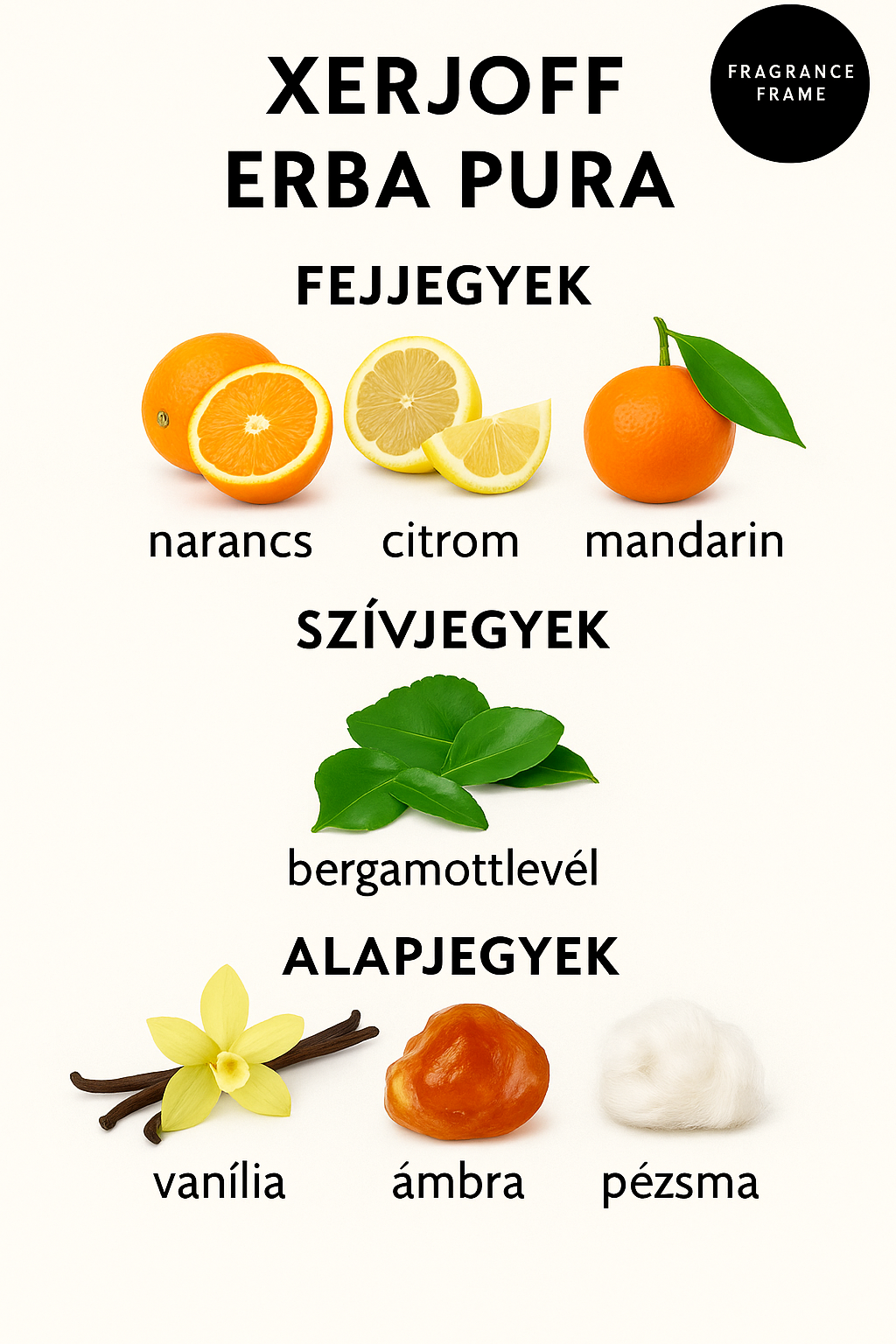 Xerjoff Erba Pura