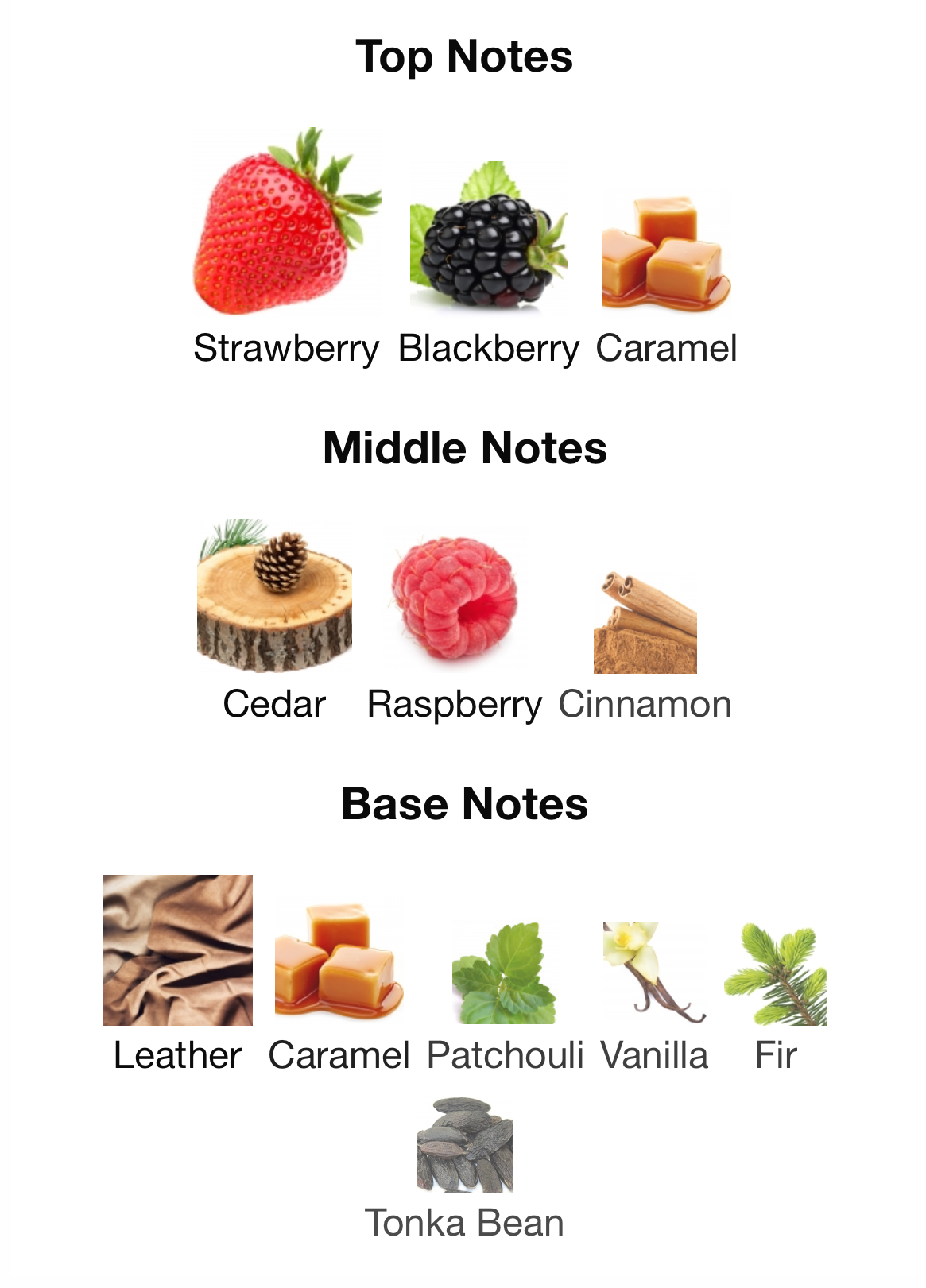 French Avenue Veneno Scarlet