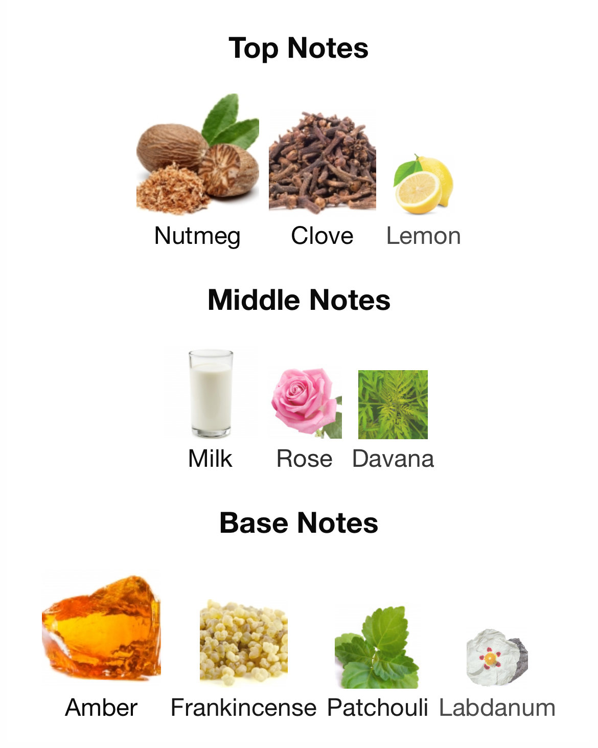 Rayhaan Tiger - FragranceFrame